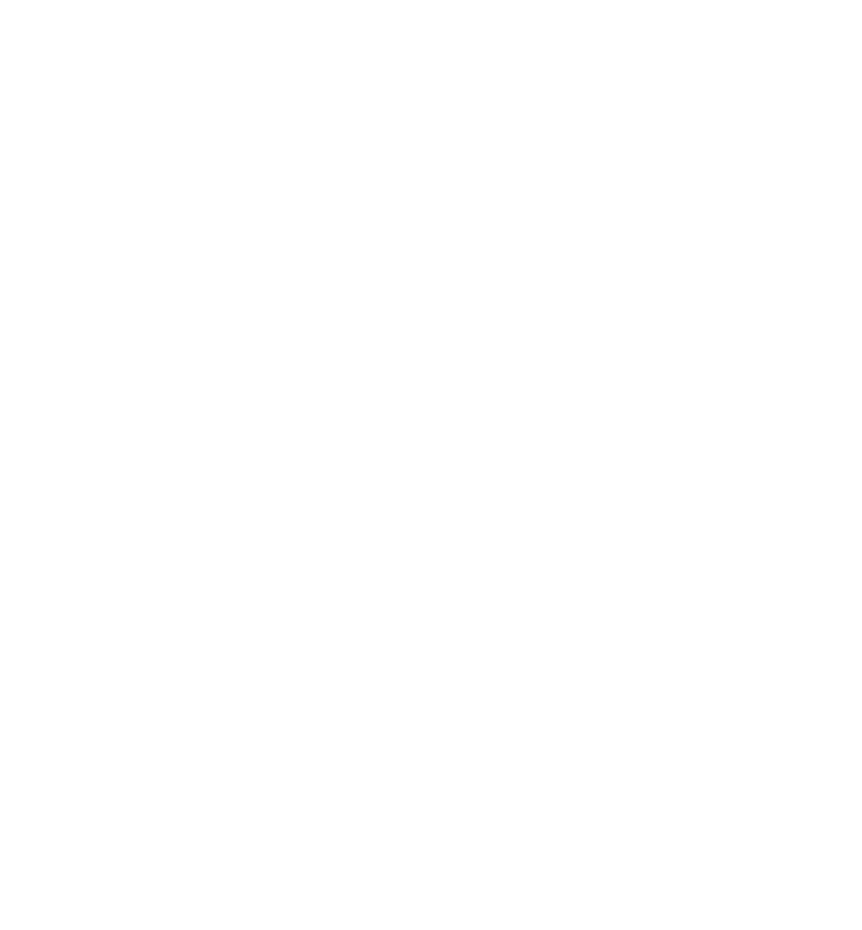 MSS Aesthetix logo